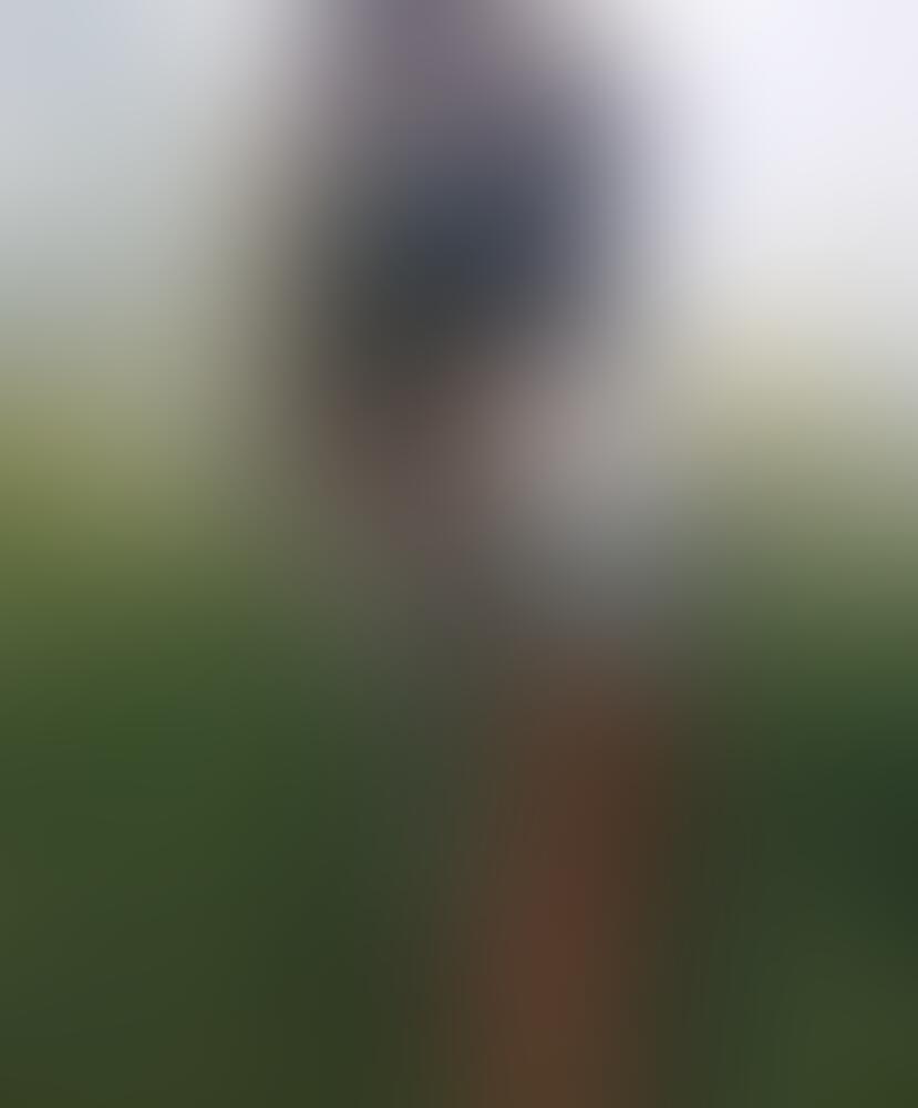 Album MarlenaHot