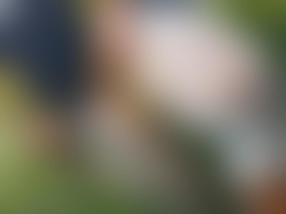 Album MarlenaHot