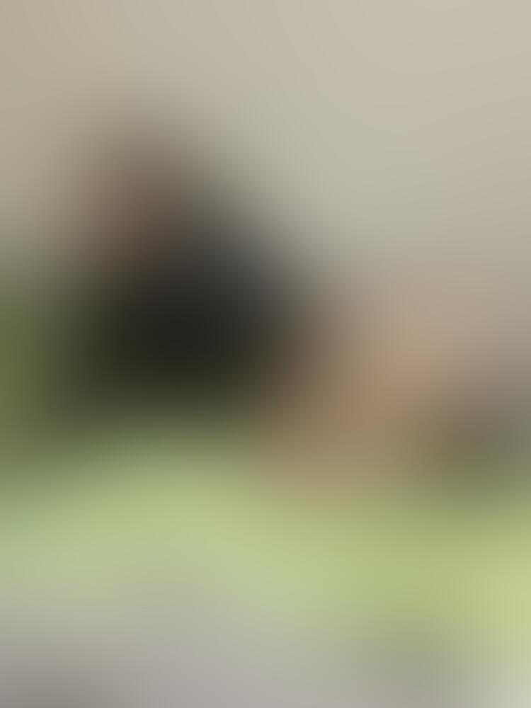 Album Cryingjulcia