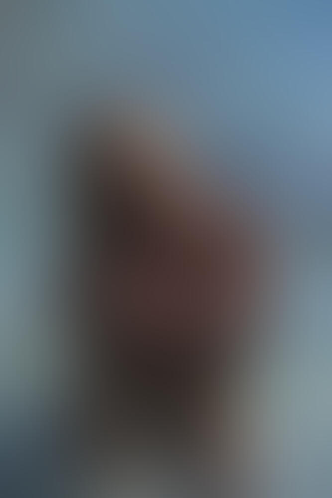 Album Flychanelle