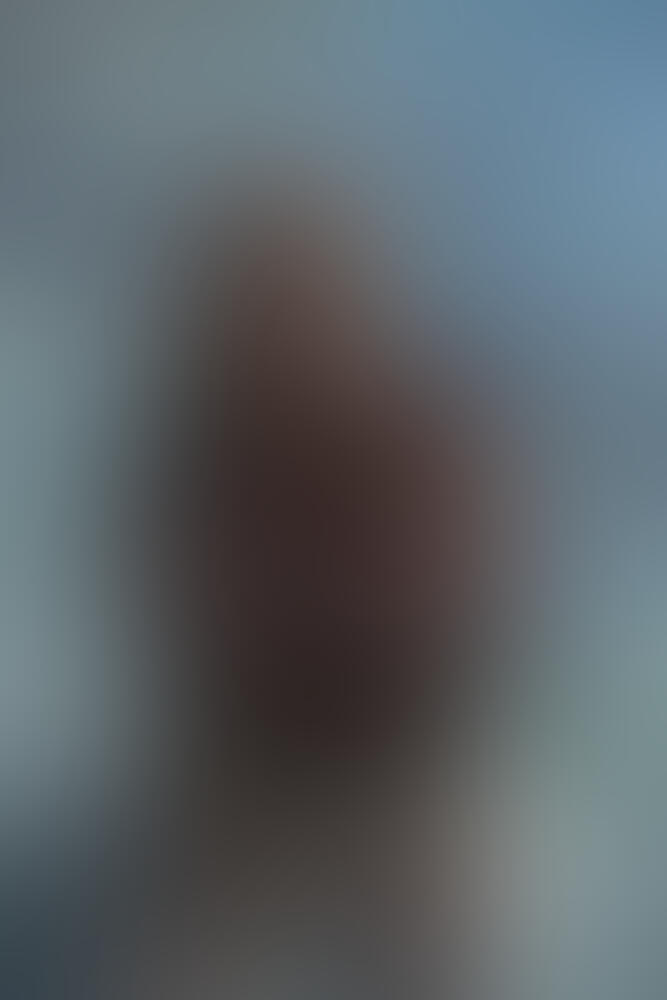 Album Flychanelle