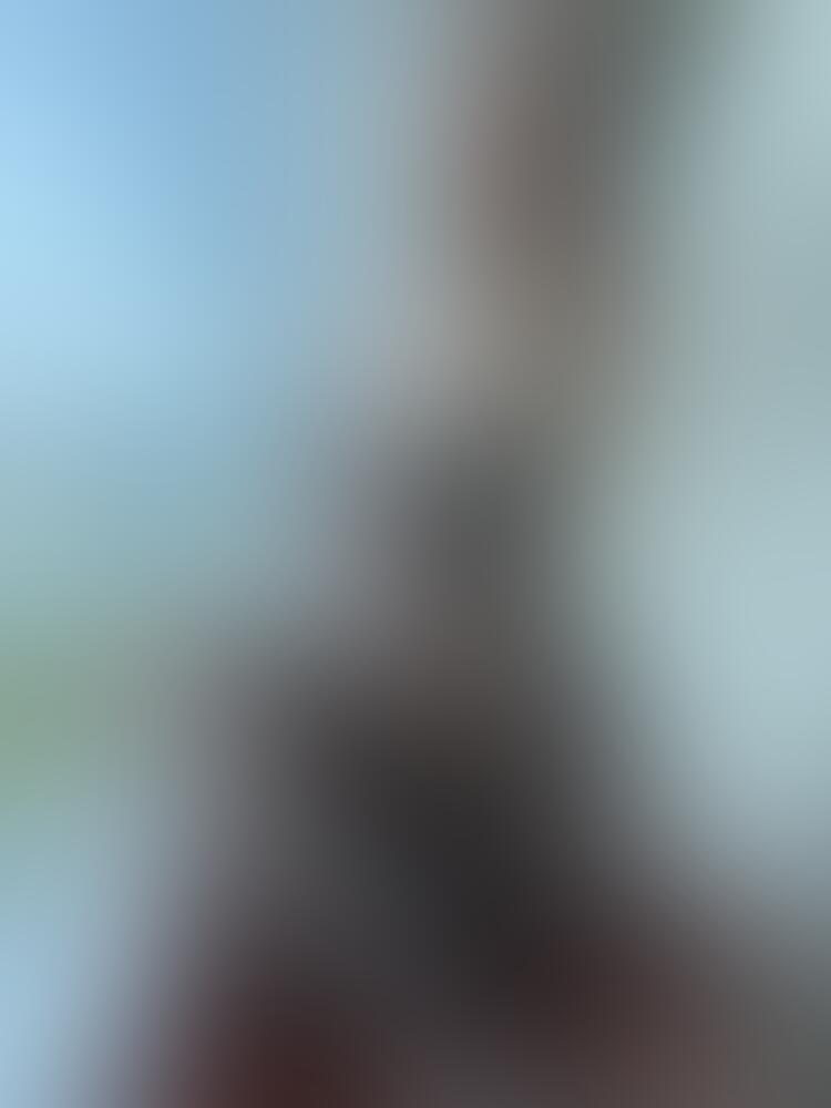 Album Cryingjulcia