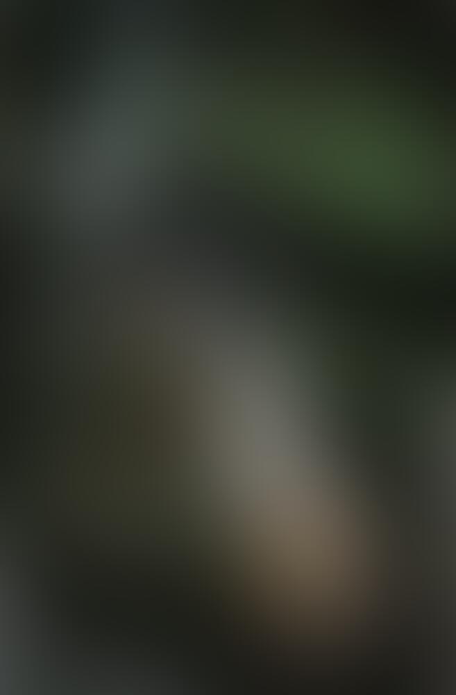 Album Cryingjulcia