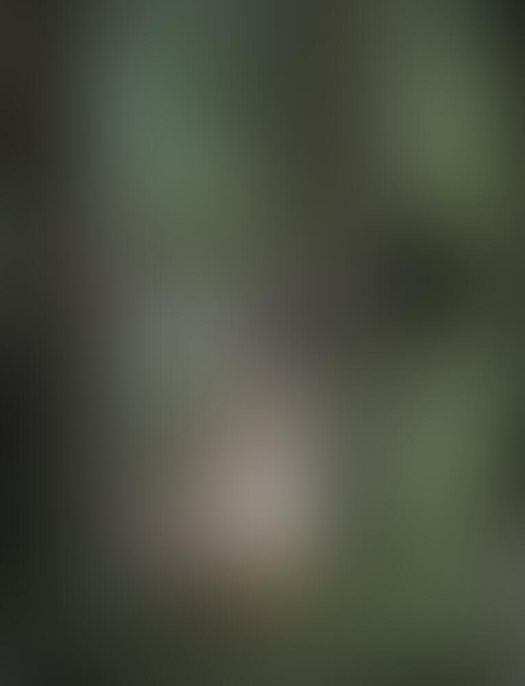Album Cryingjulcia