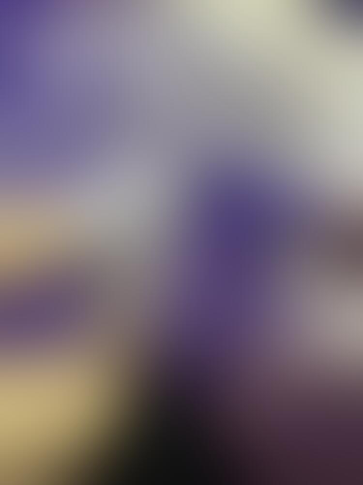 Album 𝐕𝐄𝐍𝐎𝐌