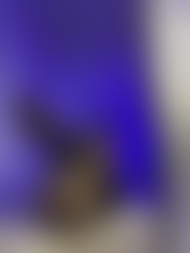 Album 𝐕𝐄𝐍𝐎𝐌