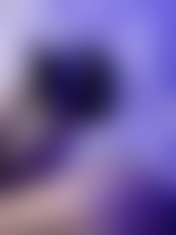 Album 𝐕𝐄𝐍𝐎𝐌