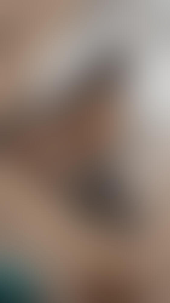 Album MissDiamondporn34