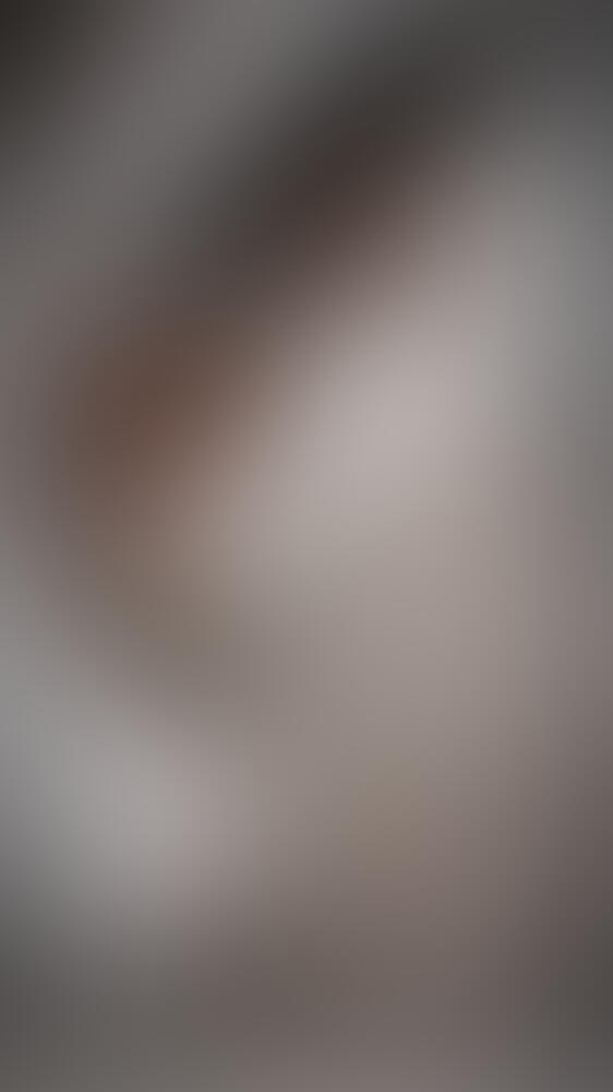 Album MissDiamondporn34
