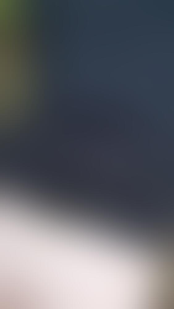 Album 𝗟𝗶𝘁𝘁𝗹𝗲𝗘𝘃𝗶𝗹