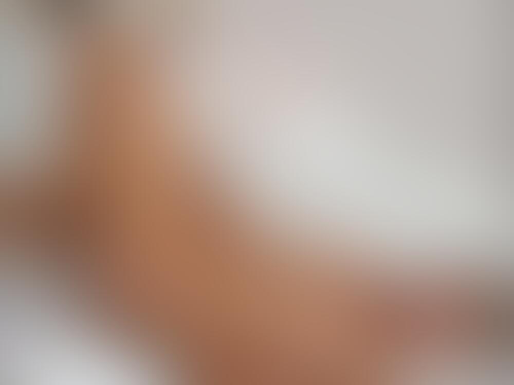 Album Lexi camp