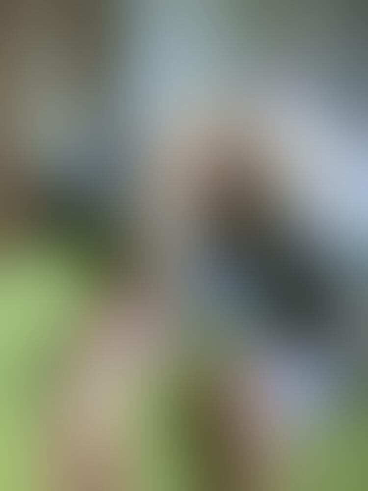 Album Lea_Green