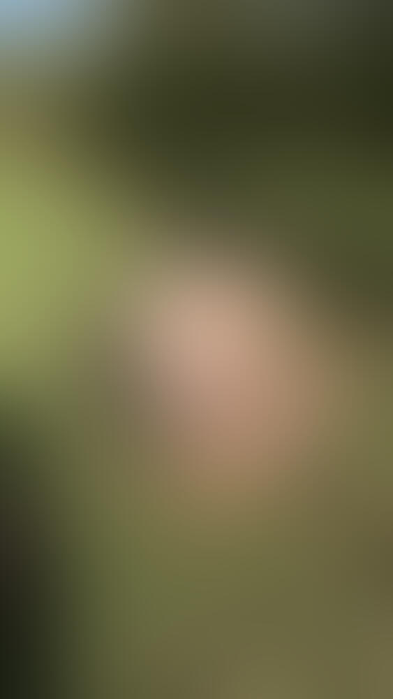 Album Lea_Green