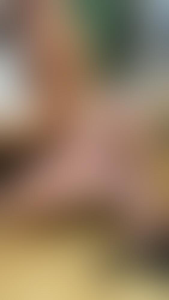 Album Succub_12