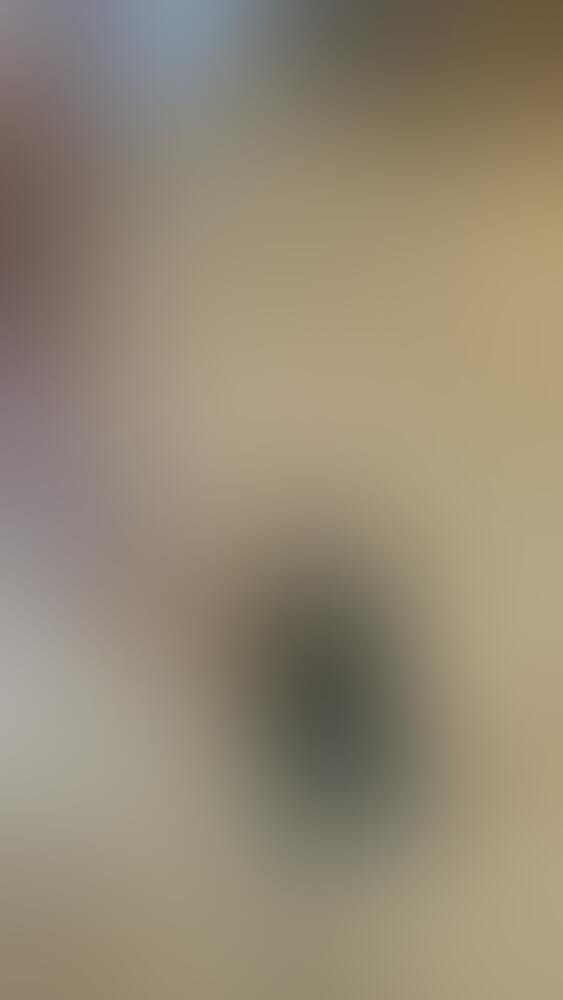 Album Succub_12