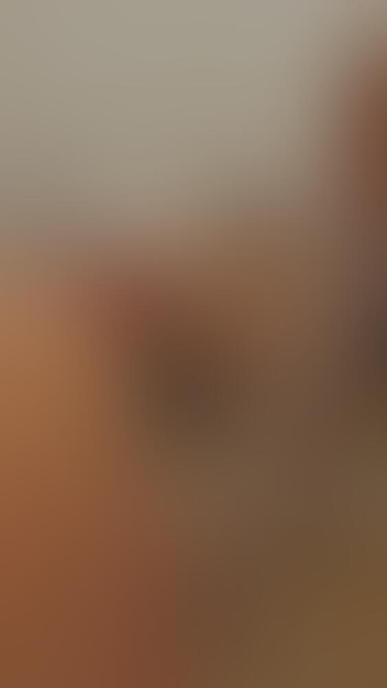 Album Succub_12