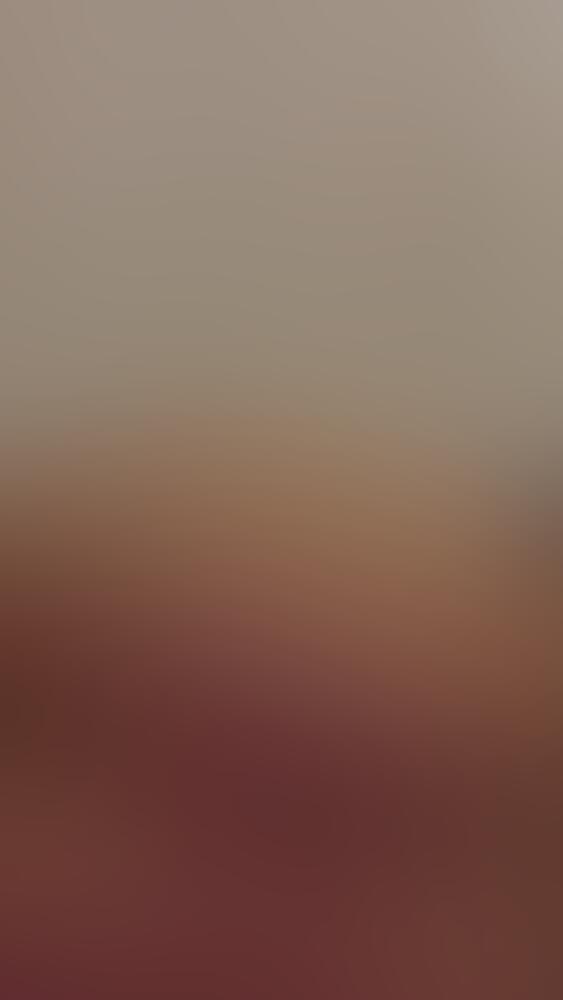 Album Succub_12