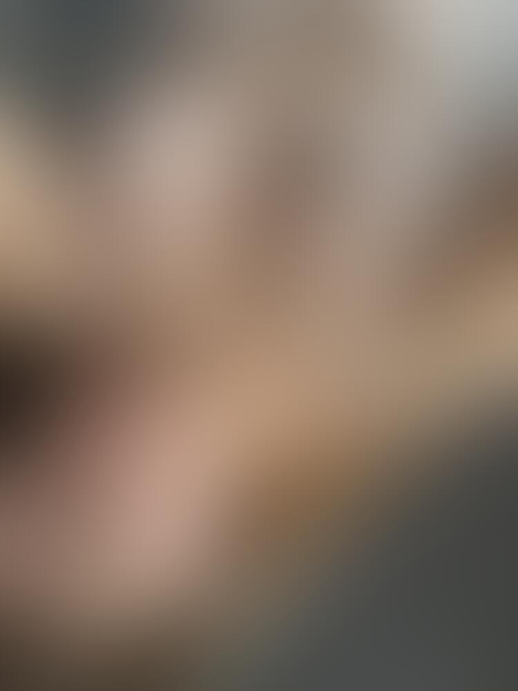 Album Succub_12