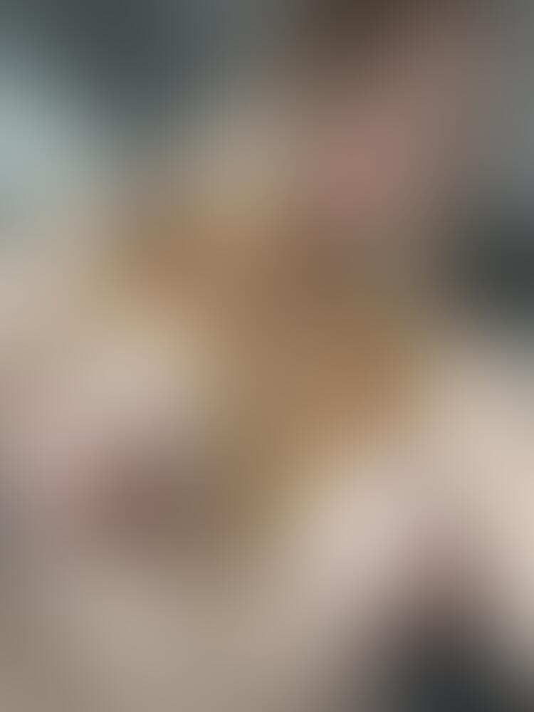 Album Succub_12