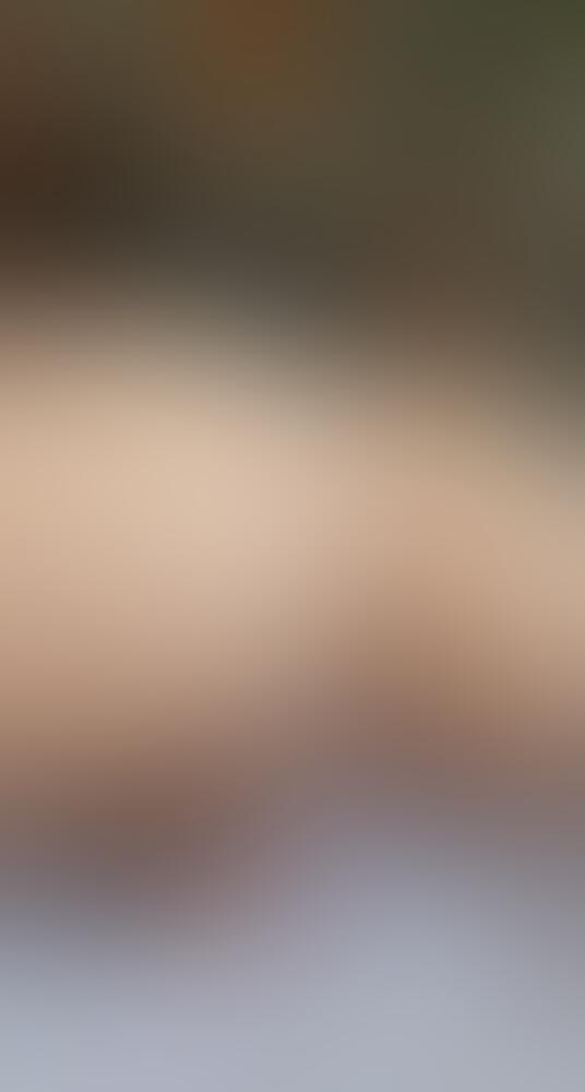 Album Justyna69