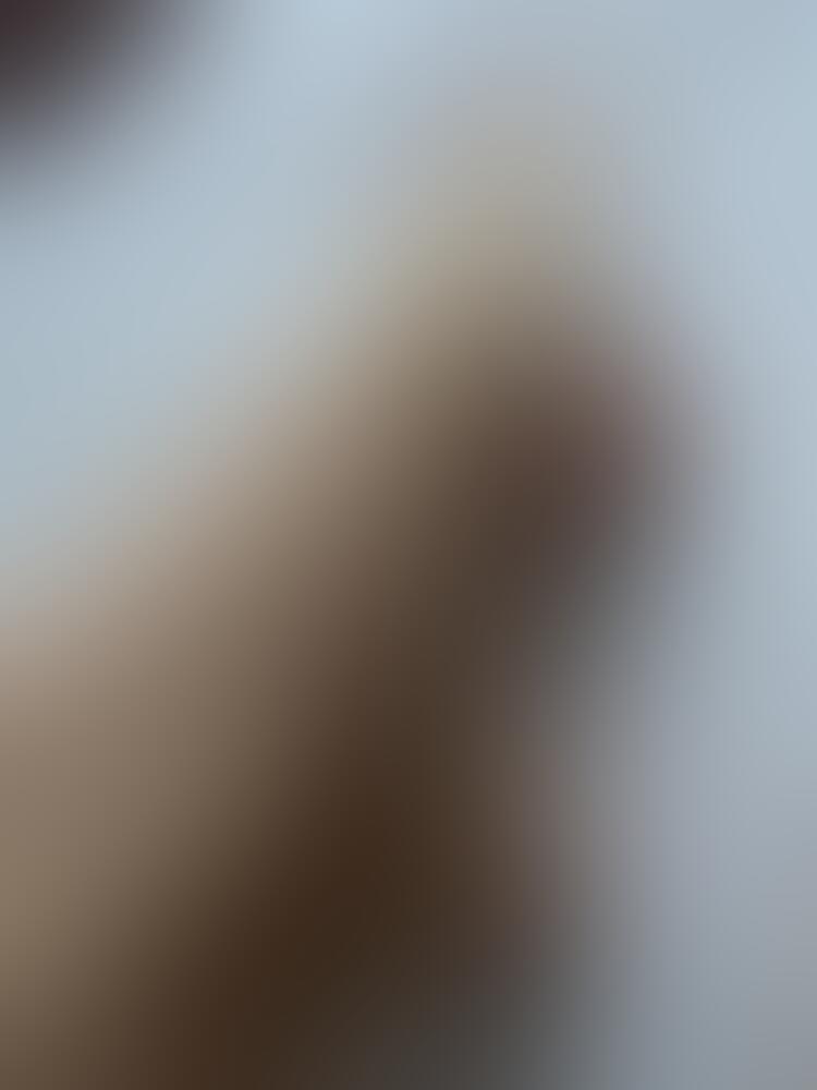 Album feetlovers_