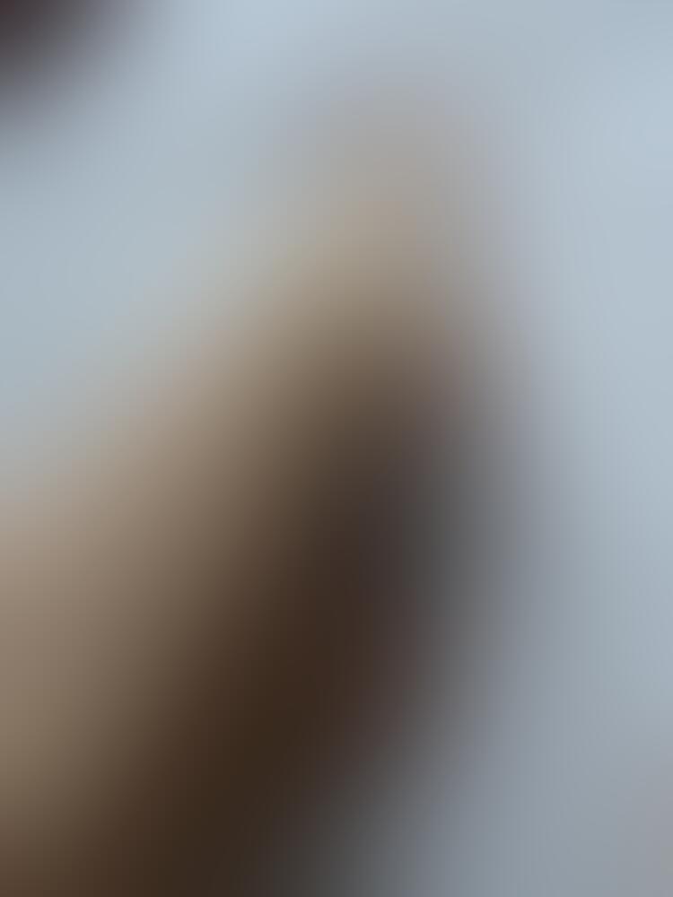 Album feetlovers_