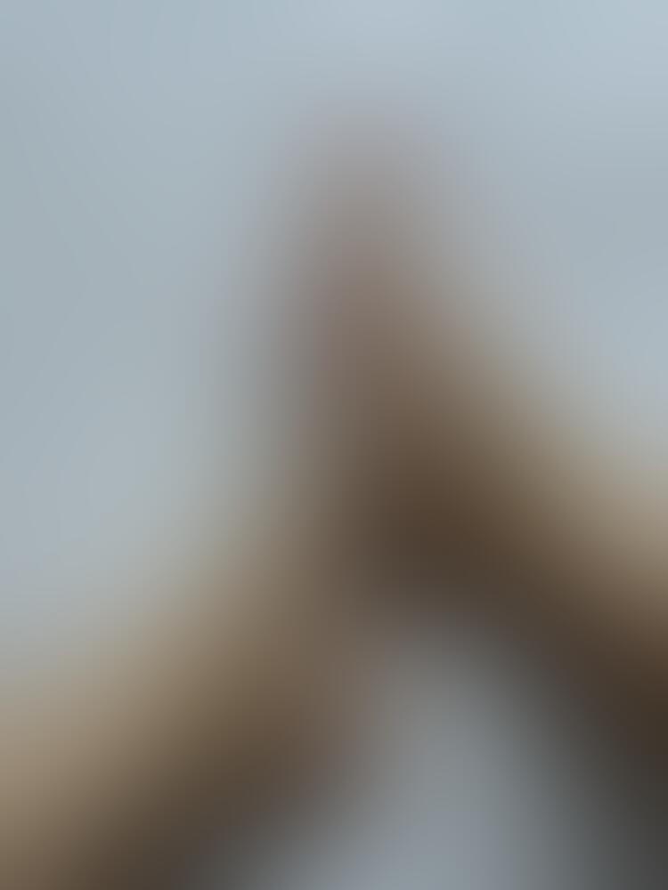 Album feetlovers_