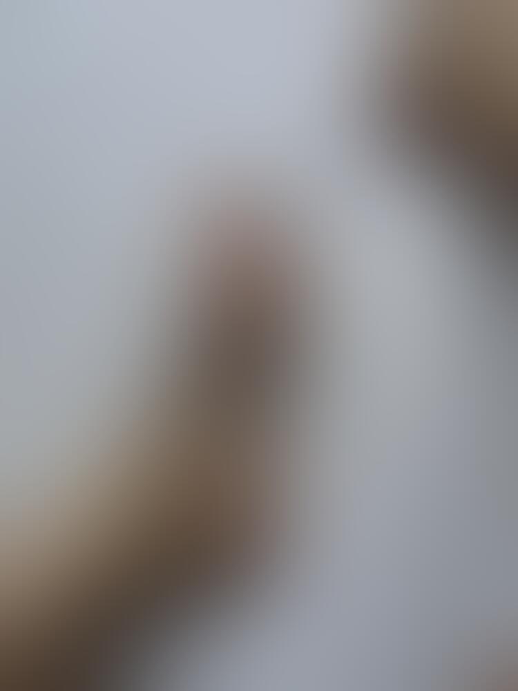 Album feetlovers_