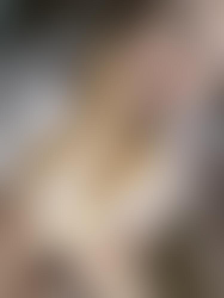 Album Succub_12