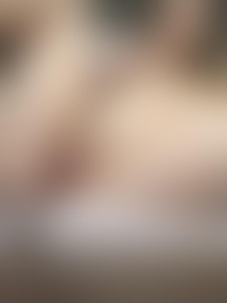 Album Succub_12
