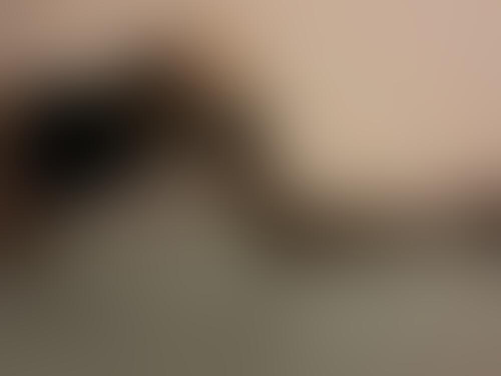 Album feetlovers_