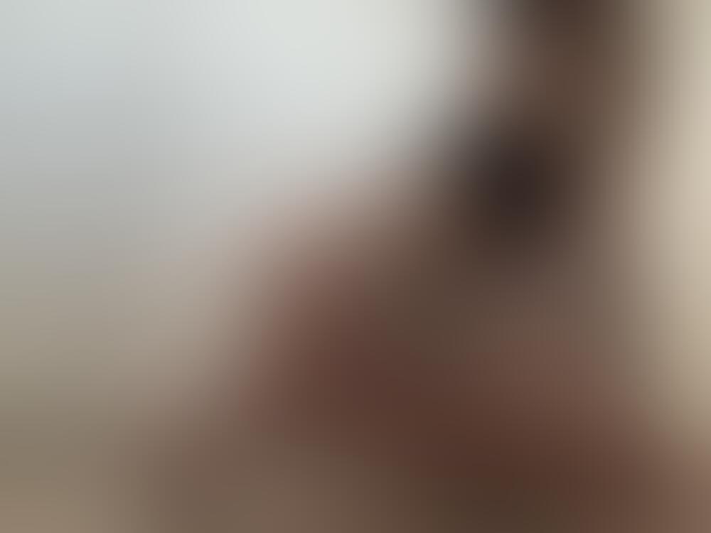 Album Vanesssa