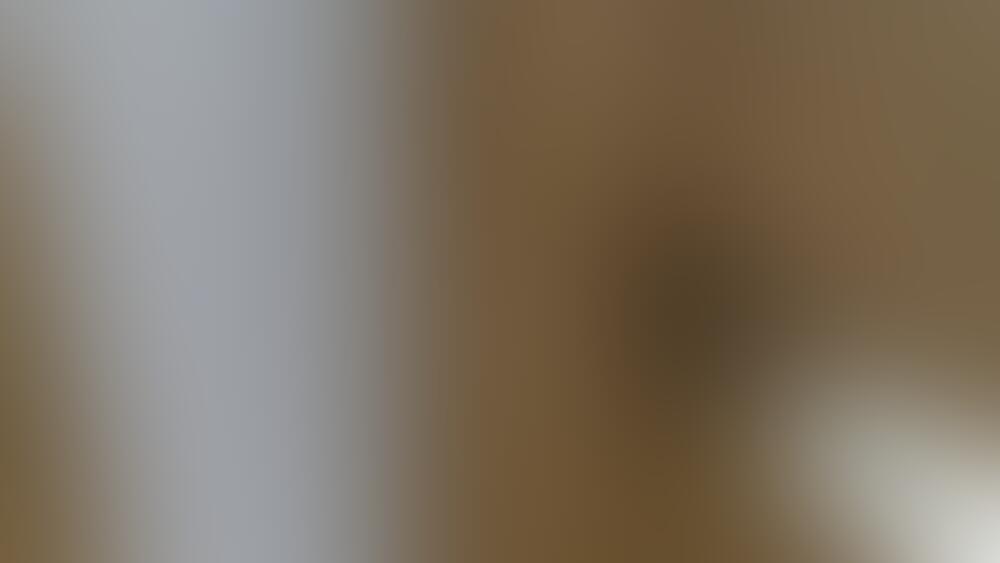 Album OliviaBayLive