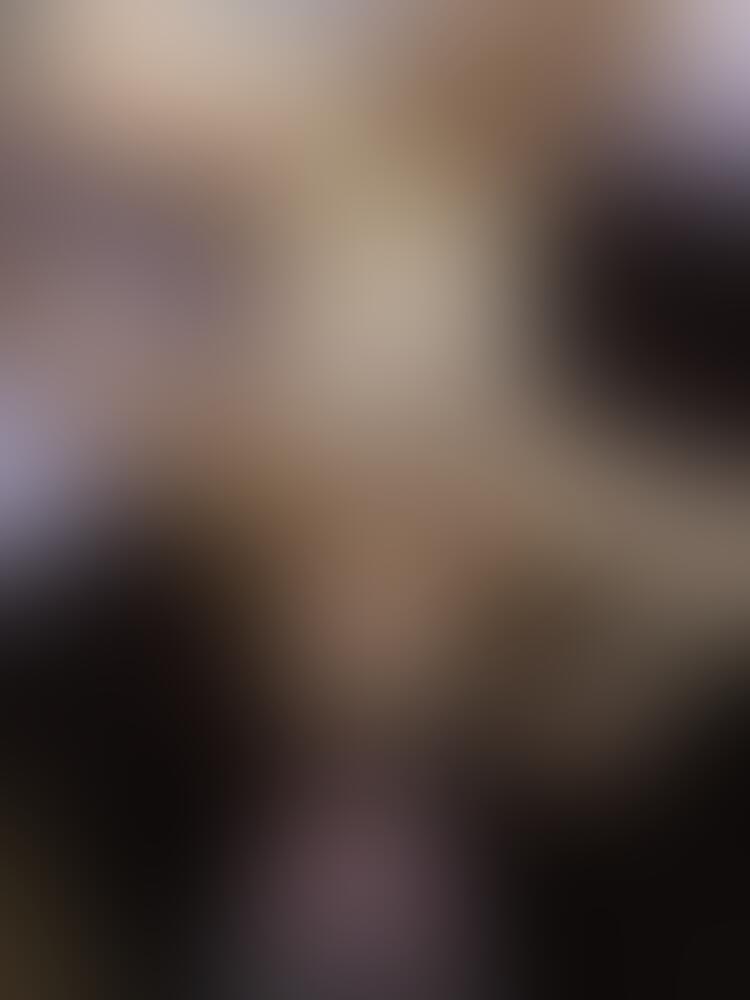Album Succub_12