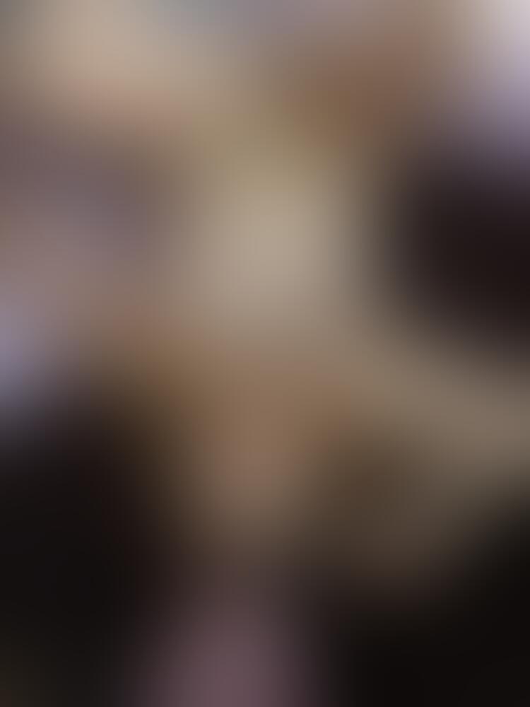 Album Succub_12