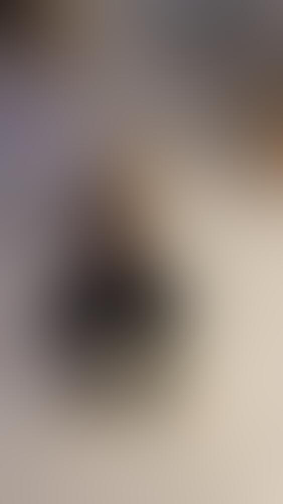 Album 𝐕𝐄𝐍𝐎𝐌