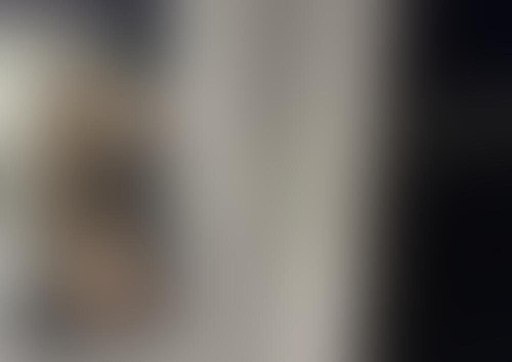 Album Malutrevejo
