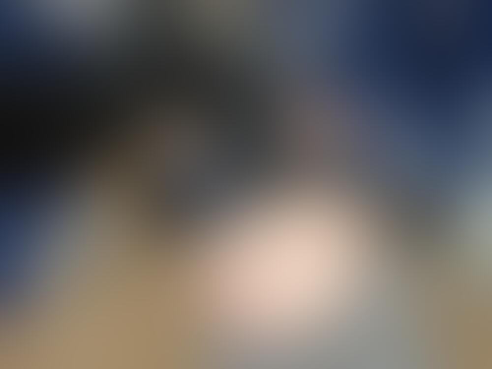 Album Malutrevejo
