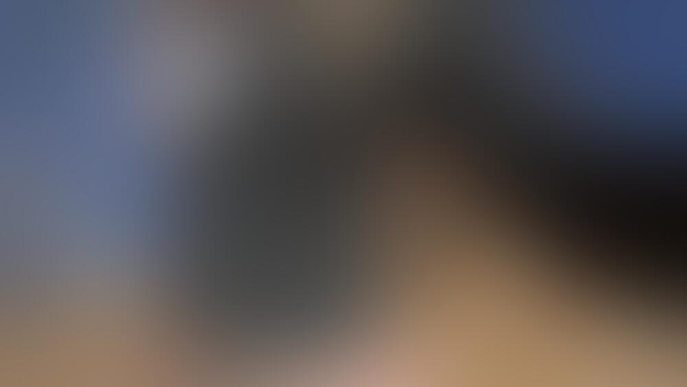 Album Malutrevejo