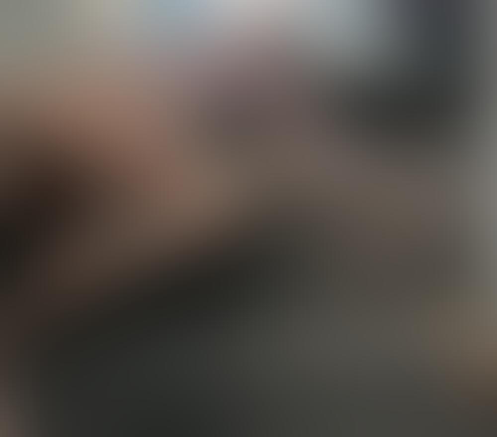 Album Malutrevejo