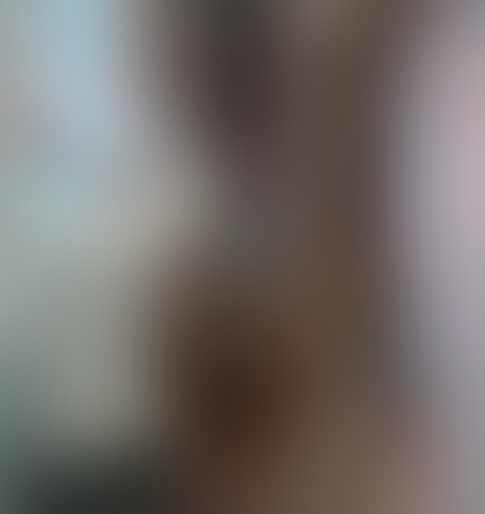 Album Malutrevejo