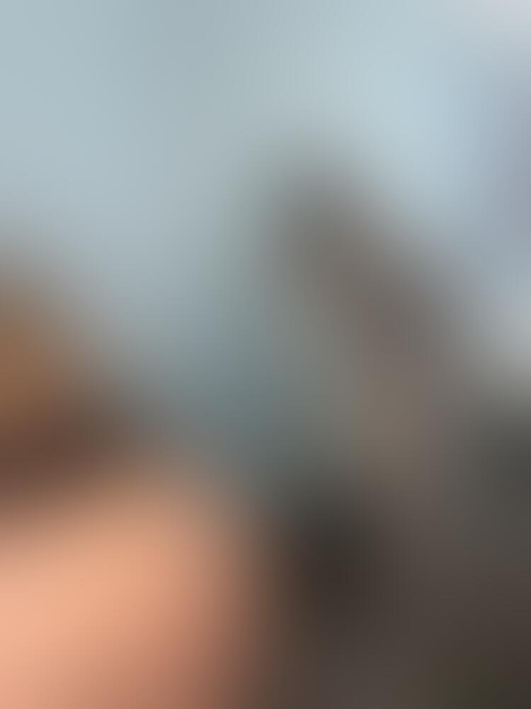 Album Malutrevejo