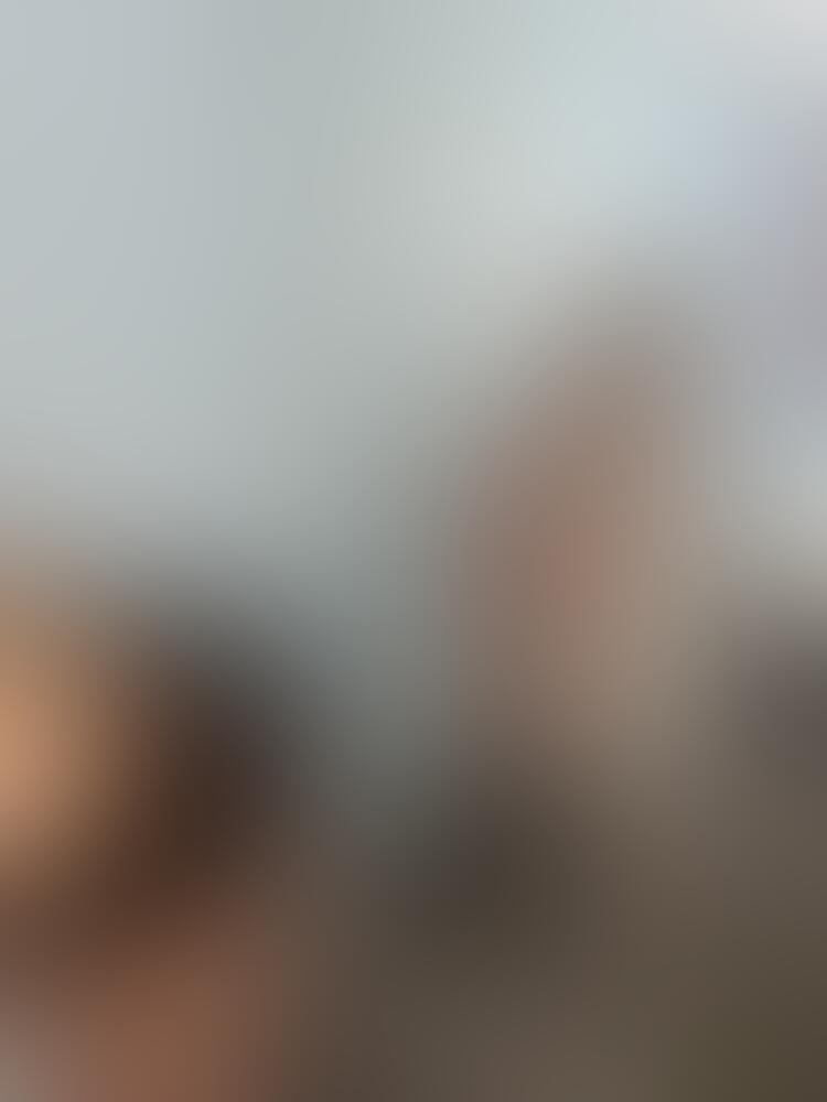 Album Malutrevejo