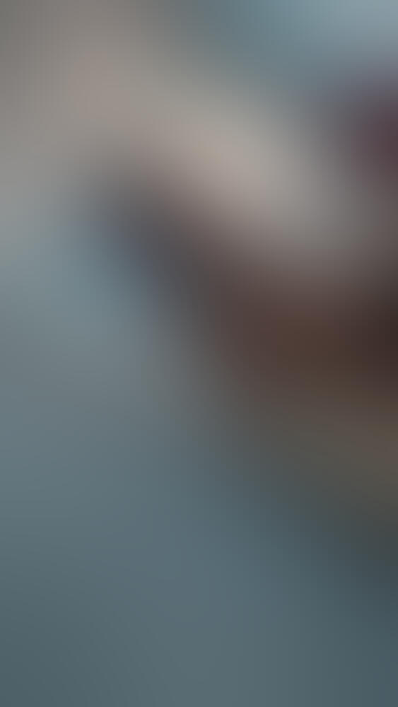 Album Malutrevejo