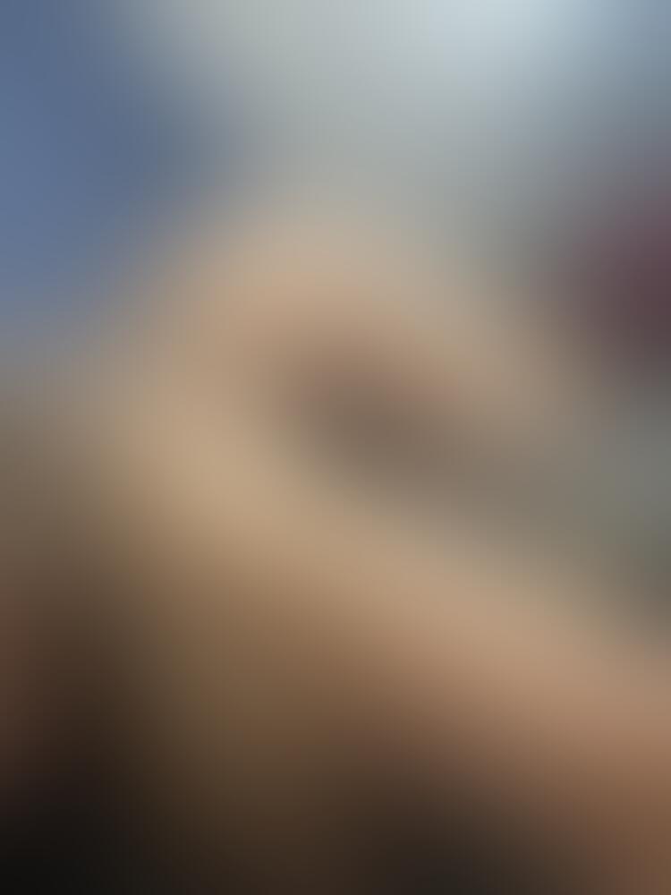 Album Malutrevejo