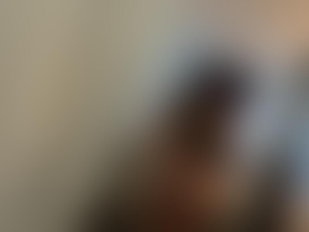 Album Malutrevejo