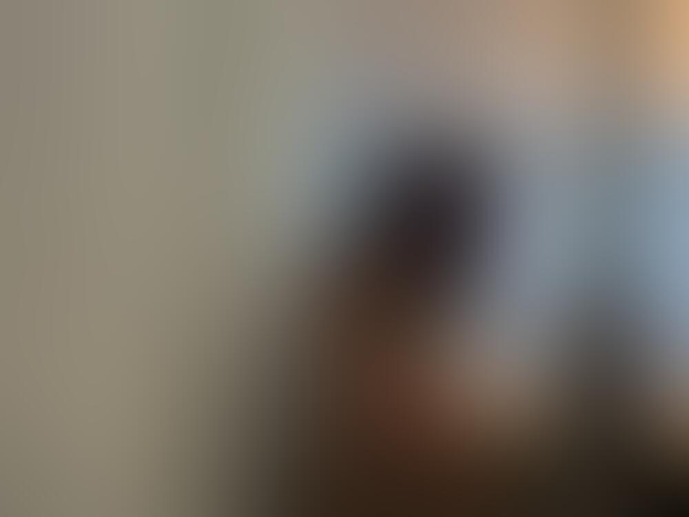 Album Malutrevejo