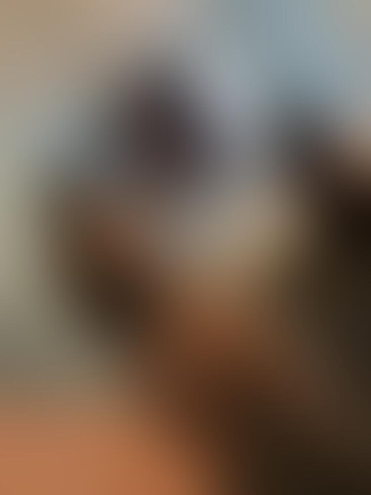 Album Malutrevejo