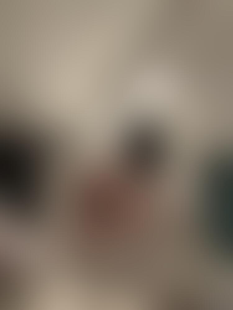 👑𝒦ℒ𝒜𝒰𝒟𝒰Ś𝒦𝒜 👑