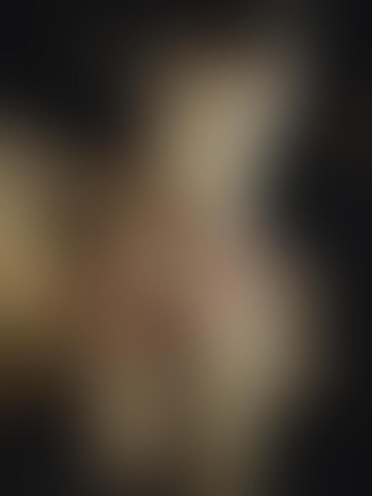 𝗟𝗶𝘁𝘁𝗹𝗲𝗘𝘃𝗶𝗹